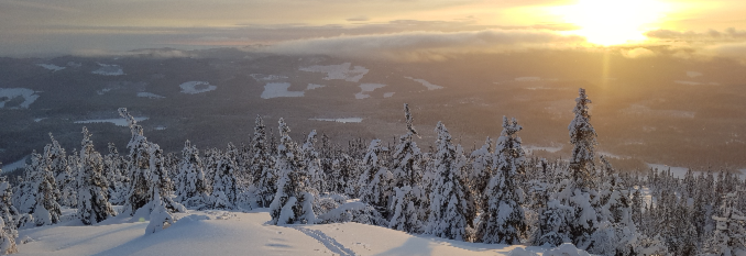 Gavekort på Ti på Topp Vinter Oslo og Romerike